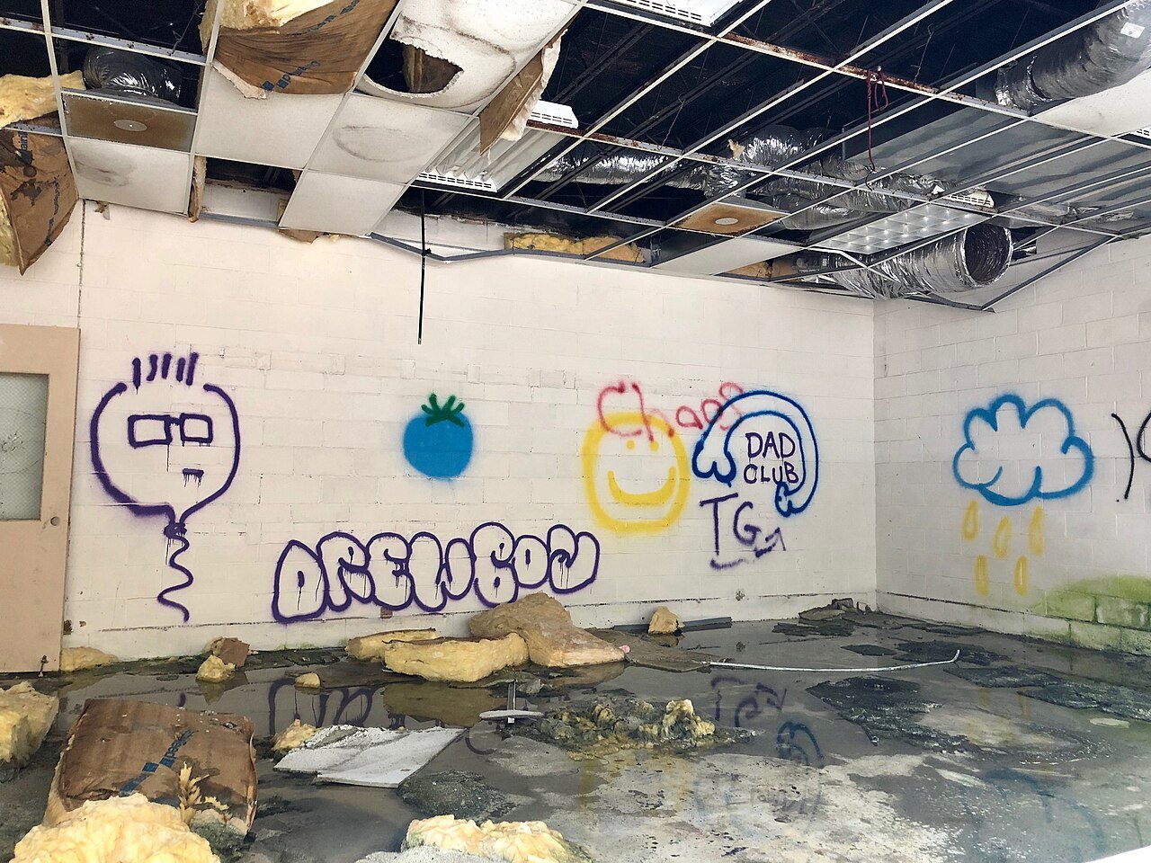 Dedetização de Escolas e Faculdades em Araraquara - Casa Livre