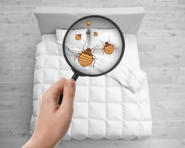 Dedetização para Percevejo de Cama Funciona em Araraquara?