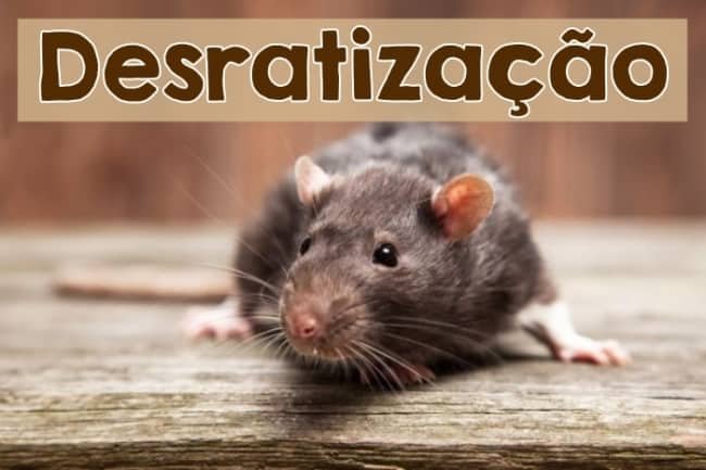Qual o valor de uma Desratização em Araraquara?
