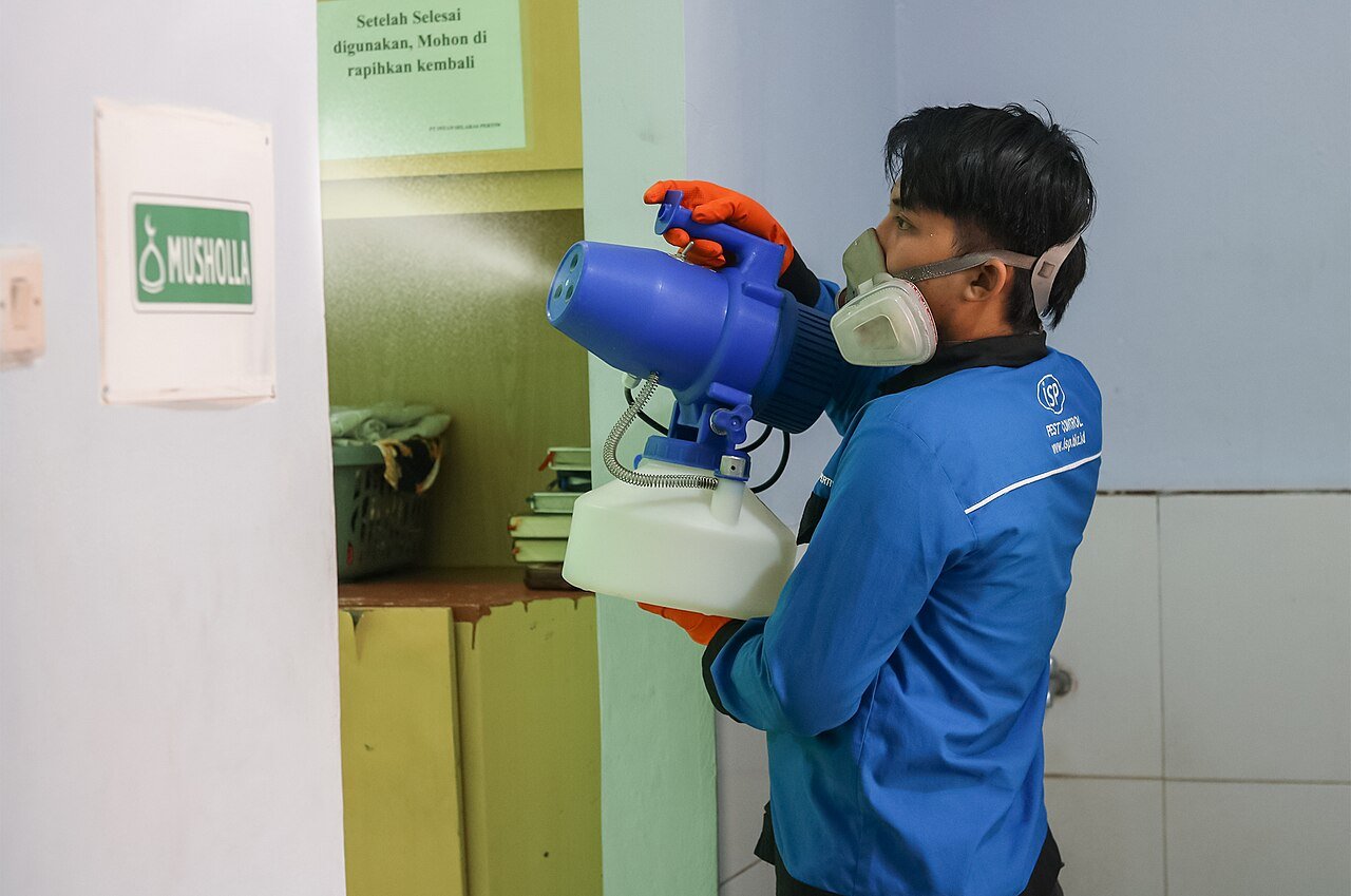 Dedetização para Traças Funciona em Araraquara - Aplicação Profissional